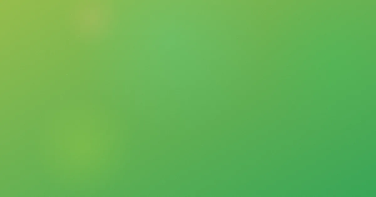 美女国产番茄牛腩少水版
